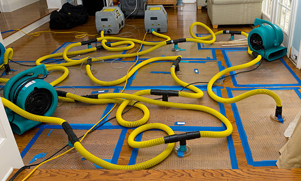 Professional Storm Water Damage Restoration technician working in Wallula, WA